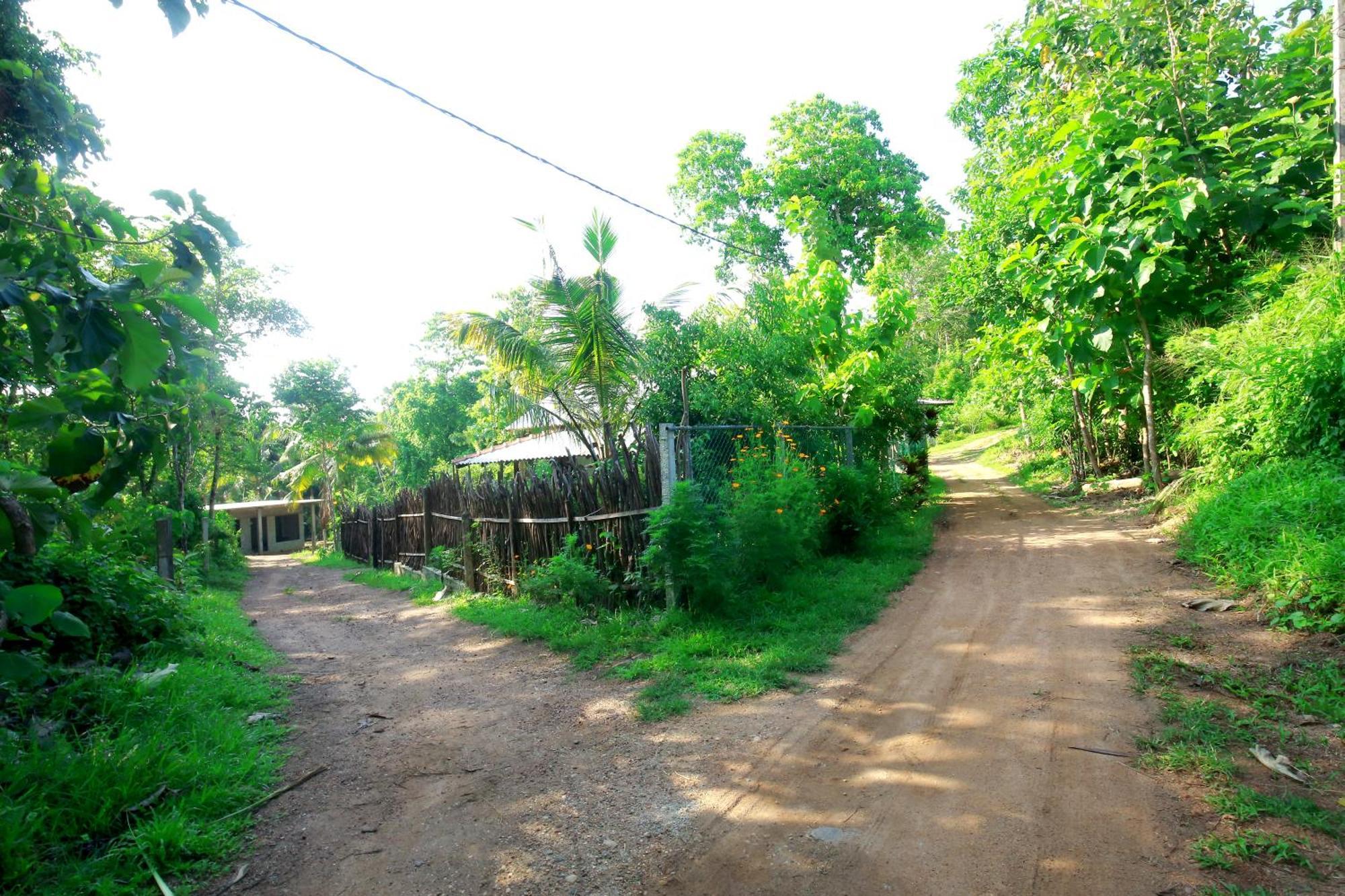 Hiriketiya Don Simon Villa Dikwella Esterno foto